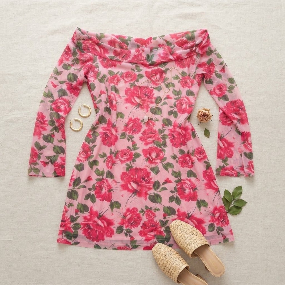 Petal + Pup Mini Dress Womens XL Pink Floral Mesh Off Shoulder Romantic Coquette